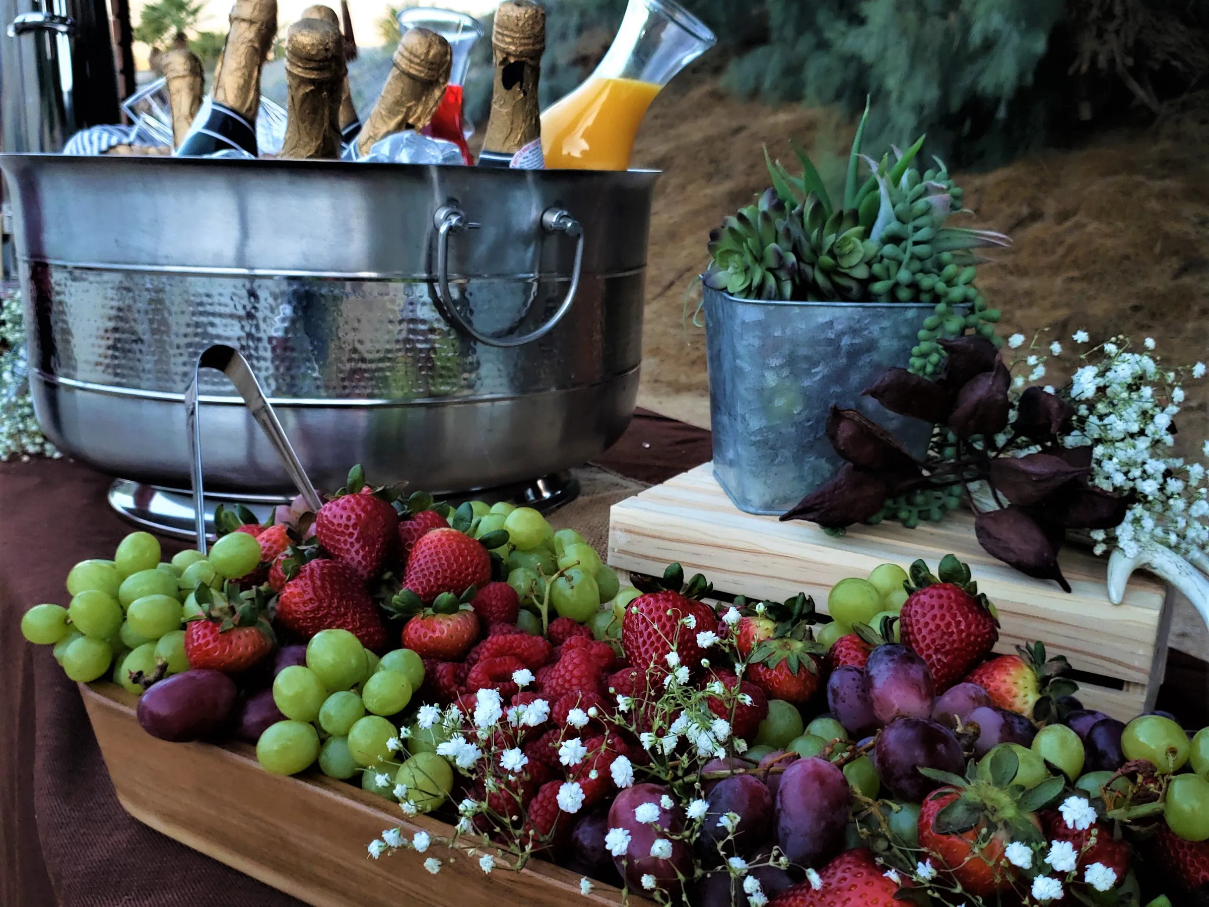 Ice bucket with bottles, fruit tray, and potted plant on an outdoor table.
