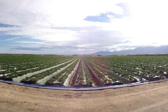 a group of people sitting on the side of a road