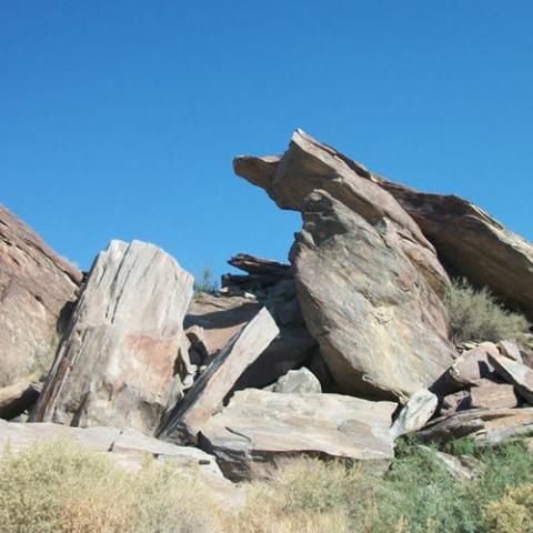 a bird standing on a rocky hill