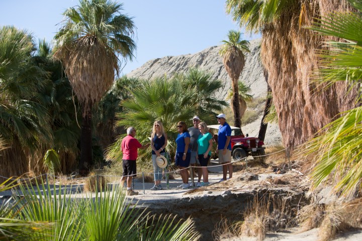 a group of people standing next to a tree