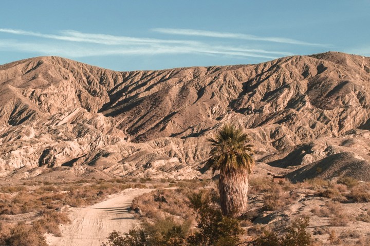 Desert landscape with rocky hills and a single palm tree under a clear sky.