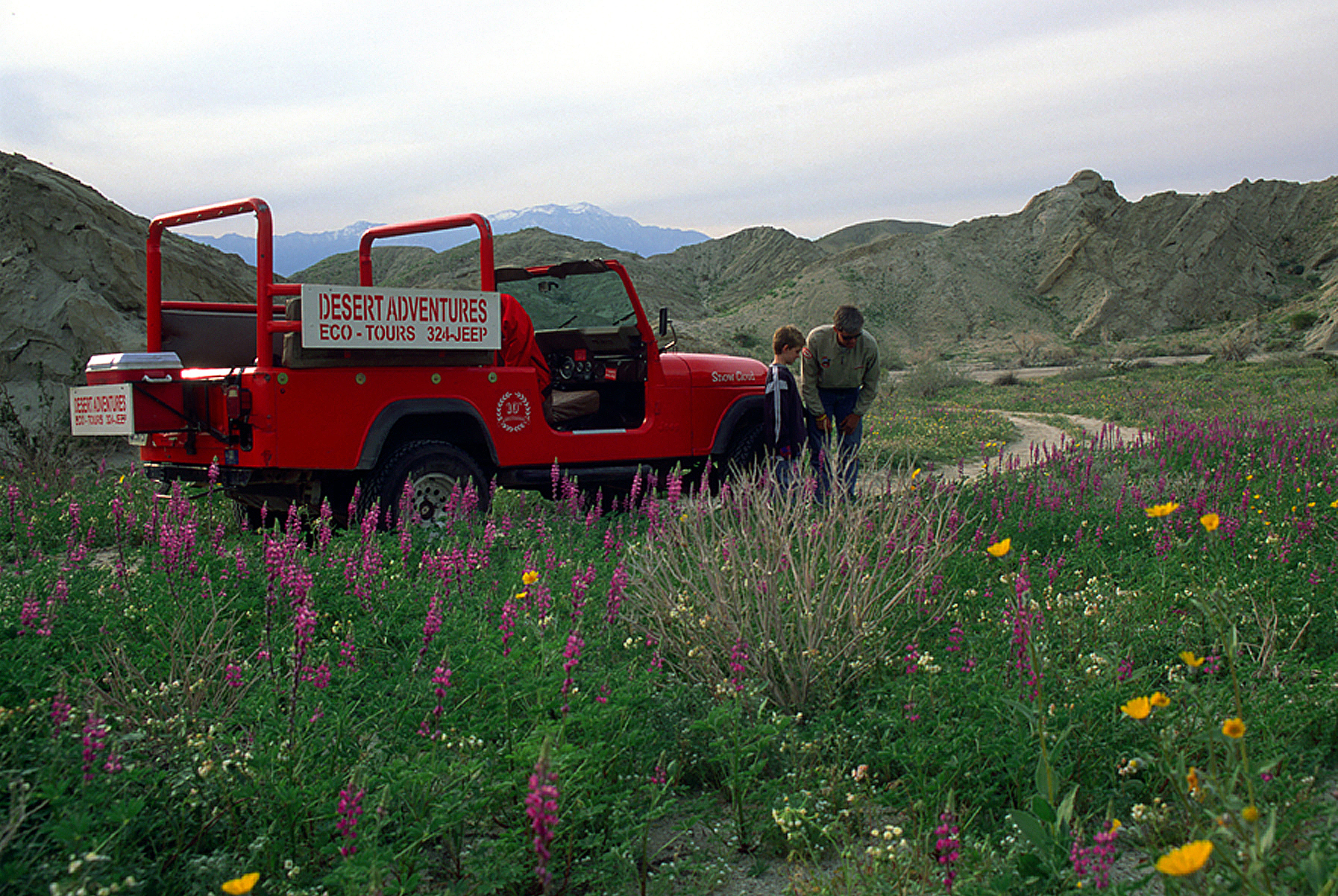 Red Jeep in desert landscape with wildflowers and two people standing nearby.